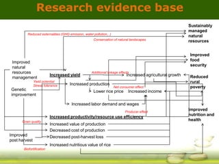 GRiSP - Presentation for Discussion with Donors and Partners - June 2013