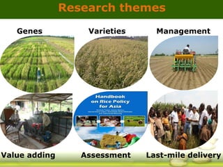 GRiSP - Presentation for Discussion with Donors and Partners - June 2013