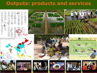 GRiSP - Presentation for Discussion with Donors and Partners - June 2013