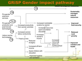 GRiSP - Presentation for Discussion with Donors and Partners - June 2013