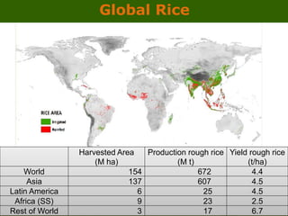 GRiSP - Presentation for Discussion with Donors and Partners - June 2013