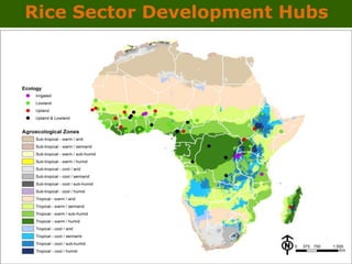 GRiSP - Presentation for Discussion with Donors and Partners - June 2013