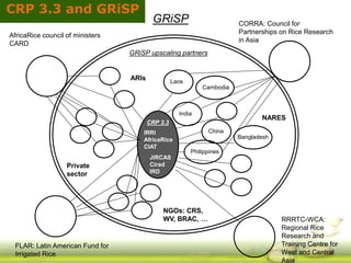 GRiSP - Presentation for Discussion with Donors and Partners - June 2013