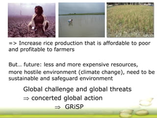GRiSP - Presentation for Discussion with Donors and Partners - June 2013