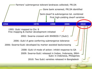 GRiSP - Presentation for Discussion with Donors and Partners - June 2013