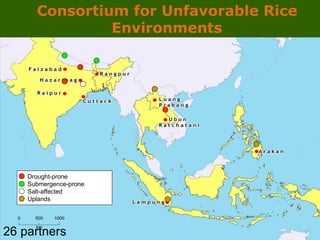 GRiSP - Presentation for Discussion with Donors and Partners - June 2013