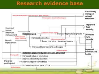 GRiSP - Presentation for Discussion with Donors and Partners - June 2013