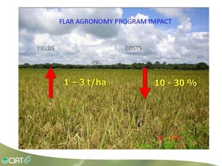 Grisp en el contexto de Amerioca Latina