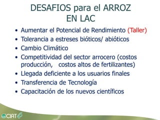 Grisp en el contexto de Amerioca Latina