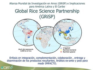 Grisp en el contexto de Amerioca Latina