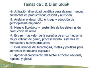 Grisp en el contexto de Amerioca Latina