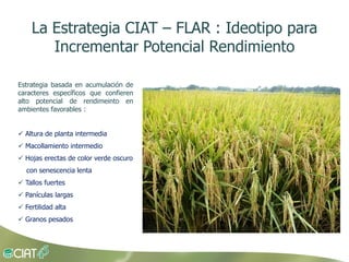 Grisp en el contexto de Amerioca Latina