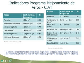 Grisp en el contexto de Amerioca Latina