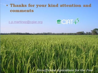 Grisp en el contexto de Amerioca Latina