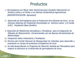 Grisp en el contexto de Amerioca Latina