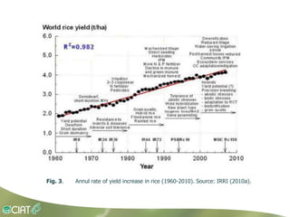 Grisp en el contexto de Amerioca Latina
