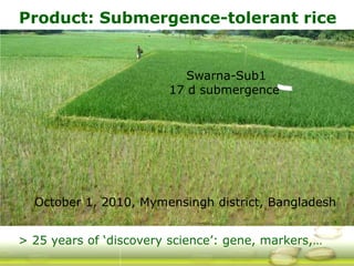 G ri sp gcard funders forum oct 24 3