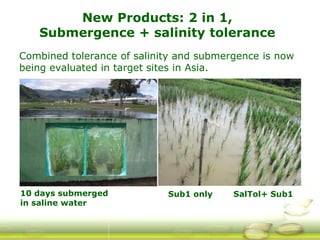 G ri sp gcard funders forum oct 24 3