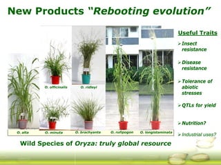 G ri sp gcard funders forum oct 24 3