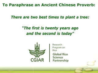 G ri sp gcard funders forum oct 24 3