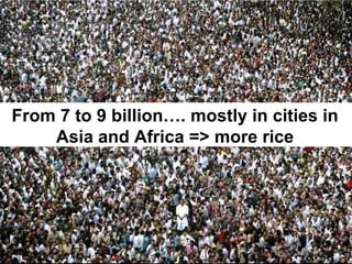 From 7 to 9 billion…. mostly in cities in
    Asia and Africa => more rice
 
