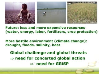 G ri sp gcard funders forum oct 24 3