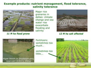 G ri sp gcard funders forum oct 24 3