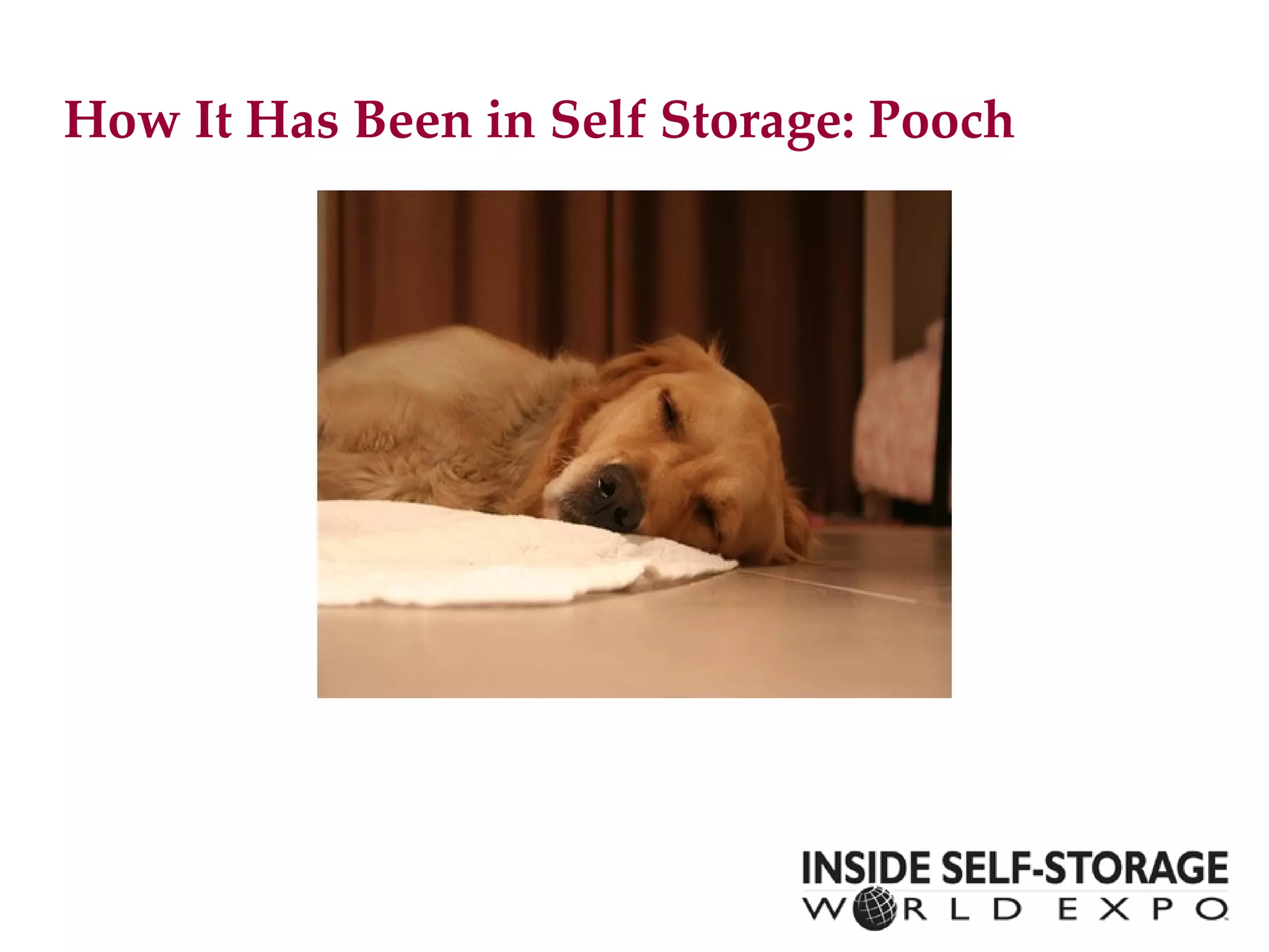 How It Has Been in Self Storage: Pooch 
