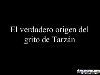 El verdadero origen del
grito de Tarzán

 