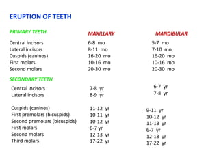 ERUPTION OF TEETH
PRIMARY TEETH
Central incisors
Lateral incisors
Cuspids (canines)
First molars
Second molars
MAXILLARY MANDIBULAR
6-8 mo
8-11 mo
16-20 mo
10-16 mo
20-30 mo
5-7 mo
7-10 mo
16-20 mo
10-16 mo
20-30 mo
SECONDARY TEETH
Central incisors
Lateral incisors
Cuspids (canines)
First premolars (bicuspids)
Second premolars (bicuspids)
First molars
Second molars
Third molars
7-8 yr
8-9 yr
6-7 yr
7-8 yr
11-12 yr
10-11 yr
10-12 yr
6-7 yr
12-13 yr
17-22 yr
9-11 yr
10-12 yr
11-13 yr
6-7 yr
12-13 yr
17-22 yr
 