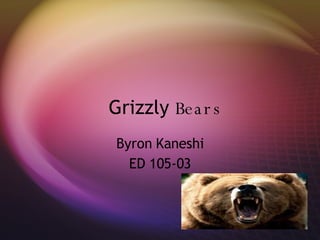 Grizzly  Bears Byron Kaneshi ED 105-03 