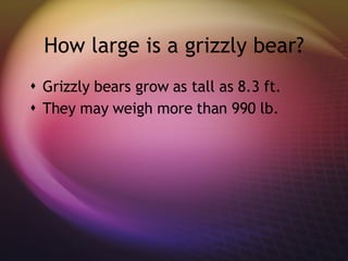 How large is a grizzly bear? Grizzly bears grow as tall as 8.3 ft.  They may weigh more than 990 lb. 