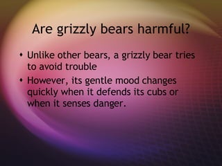 Are grizzly bears harmful? Unlike other bears, a grizzly bear tries to avoid trouble However, its gentle mood changes quickly when it defends its cubs or when it senses danger. 