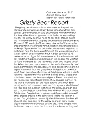 Customer: Bronx zoo Staff
Animal: Grizzly bear
Report by: Felicia Ferentinos
Grizzly Bear Report
The grizzly bear is an omnivore which means they will eat
plants and other animals. Grizzly bears will eat anything that
can fell up their bodies. Usually grizzly bears will eat small stuff
like they will eat berries, grasses, roots, bulbs, tubers and big
insects. The Grizzly bear will need to eat at lot of food during
the summer and the fall. A grizzly bear needs to eat about 80 to
90 pounds (36 to 40kg) of food every day so that they can be
prepared for the winter and for hibernation. Flowers and plants
make up 75 percent of the bears diet. Bears need to get fat so
that it can help the bear to get through the winter. Bears often
fish for salmon and sometimes trout. A bear can eat up to
twelve or more bigger fish in a afternoon. Sometimes bears will
eat food that has been washed up on the beach. The wasted
up food that bears eat are seaweed, crabs and maybe dead
fish. When the bears are away from the water they usually hunt
large mammals like moose, deer, elk and caribou these are the
largest mammals that the grizzly bear that get hunt down for
food. Bears can also eat carrion. A Grizzly bear will eat a whole
variety of food like they will eat fruit, berries, bulbs, tubers and
nuts they can also eat insects and grubs. They can sometimes
eat honey, fish, rodents and lizards. They can also eat nuts to.
The plants that bears eat are roots, sprouts and fungi. Bears
usually eat small mammals and insects it depends what time of
the year and the location that it is in. The grizzly bear can also
eat a mountain goat sometimes they will even kill a black bear.
Grizzly bears favorite food is salmon and they can be seen with
other grizzlies around in the same area where the salmon is
spawn. The grizzly bear does not just eat the same fish they will
also eat trout and bass to. The grizzly bear can grow much
bigger then there herbivorous cousins are. Some people think
that bears only eat meat but that is not true because they eat
 