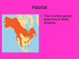 Habitat This is where grizzly bears live in North America. 