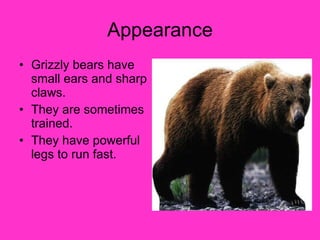 Appearance Grizzly bears have small ears and sharp claws. They are sometimes trained. They have powerful legs to run fast. 