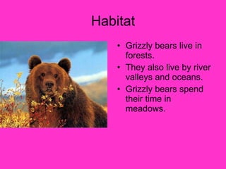 Habitat Grizzly bears live in forests. They also live by river valleys and oceans. Grizzly bears spend their time in meadows. 