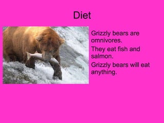 Diet Grizzly bears are omnivores. They eat fish and salmon. Grizzly bears will eat anything. 