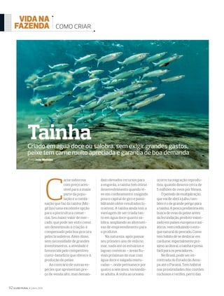 92 GLOBO RURAL  2018
COMO CRIAR
C
arne saborosa
com preço aces-
sível para a maior
parte da popu-
lação é a combi-
nação que faz da tainha (Mu-
gil liza) uma excelente opção
para a piscicultura comer-
cial. Seu baixo valor de mer-
cado, que pode ser visto como
um desestímulo à criação, é
compensado pela boa procura
pelos brasileiros. Além disso,
sem necessidade de grandes
investimentos, a atividade é
favorecida pelo competitivo
custo-benefício que oferece à
produção do peixe.
Ao contrário de outras es-
pécies que apresentam pre-
ço de venda alto, mas deman-
dam elevados recursos para
a engorda, a tainha tem ótimo
desenvolvimento quando vi-
ve em conﬁnamento, exigindo
pouco capital de giro e possi-
bilitando obter resultados lu-
crativos. A tainha ainda tem a
vantagem de ser criada tan-
to em água doce quanto sa-
lobra, ampliando as alternati-
vas de empreendimento para
o produtor.
Na natureza, após passar
seu primeiro ano de vida no
mar, nada até os estuários e
lagoas costeiras – áreas ﬂu-
viais próximas do mar com
água doce e salgada mistu-
radas –, onde permanece por
quatro a seis anos, tornando-
se adulta. A volta ao oceano
ocorre na migração reprodu-
tiva, quando desova cerca de
5 milhões de ovos por fêmea.
Operíododemultiplicação,
quevaideabrilajulho,tam-
béméodegrandeperigopara
atainha.Apescapredatóriaem
buscadeovasdopeixeantes
dafecundação,produtovalori-
zadoempaíseseuropeuseasi-
áticos,vemreduzindooesto-
quenaturaldopescado.Como
temhábitodesedeslocarem
cardume,especialmentepró-
ximoaolitoral,atainhaépresa
fácilparaospescadores.
No Brasil, pode ser en-
contrada do Estado do Ama-
pá até o Paraná. Tem hábitat
nas proximidades dos costões
rochosos e recifes, perto das
Criado em água doce ou salobra, sem exigir grandes gastos,
peixe tem carne muito apreciada e garantia de boa demanda
Texto João Mathias
Tainha
392COMOCRIAR.indd 92 24/05/2018 20:52:26
 