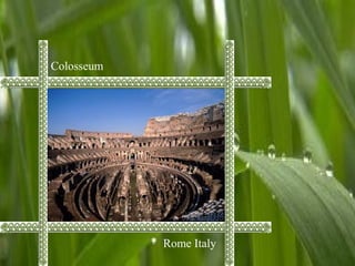 Colosseum
Rome Italy
 