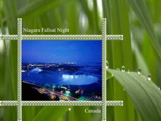 Niagara Fallsat Night
Canada
 