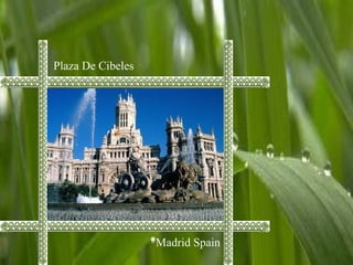 Plaza De Cibeles
Madrid Spain
 