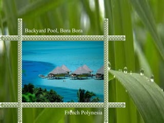 Backyard Pool, Bora Bora
French Polynesia
 