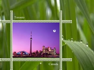 Toronto
Canada
 