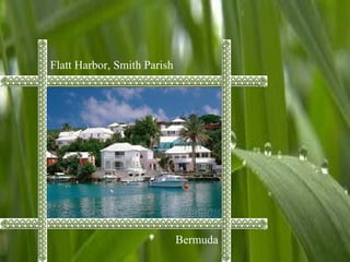Flatt Harbor, Smith Parish
Bermuda
 