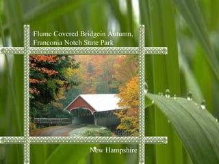 Flume Covered Bridgein Autumn,
Franconia Notch State Park
New Hampshire
 
