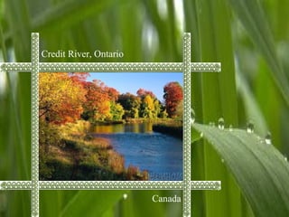 Credit River, Ontario
Canada
 