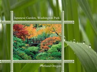 Japanese Garden, Washington Park
Portland Oregon
 