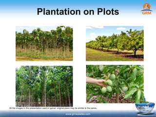 Plantation on Plots
www.grmestates.com
All the images in this presentation used is typical, original plans may be similar to the same.
 