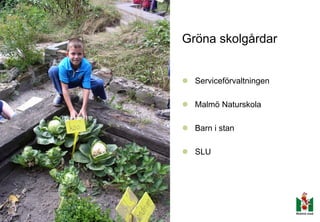 Gröna skolgårdar


  Serviceförvaltningen

  Malmö Naturskola

  Barn i stan

  SLU
 